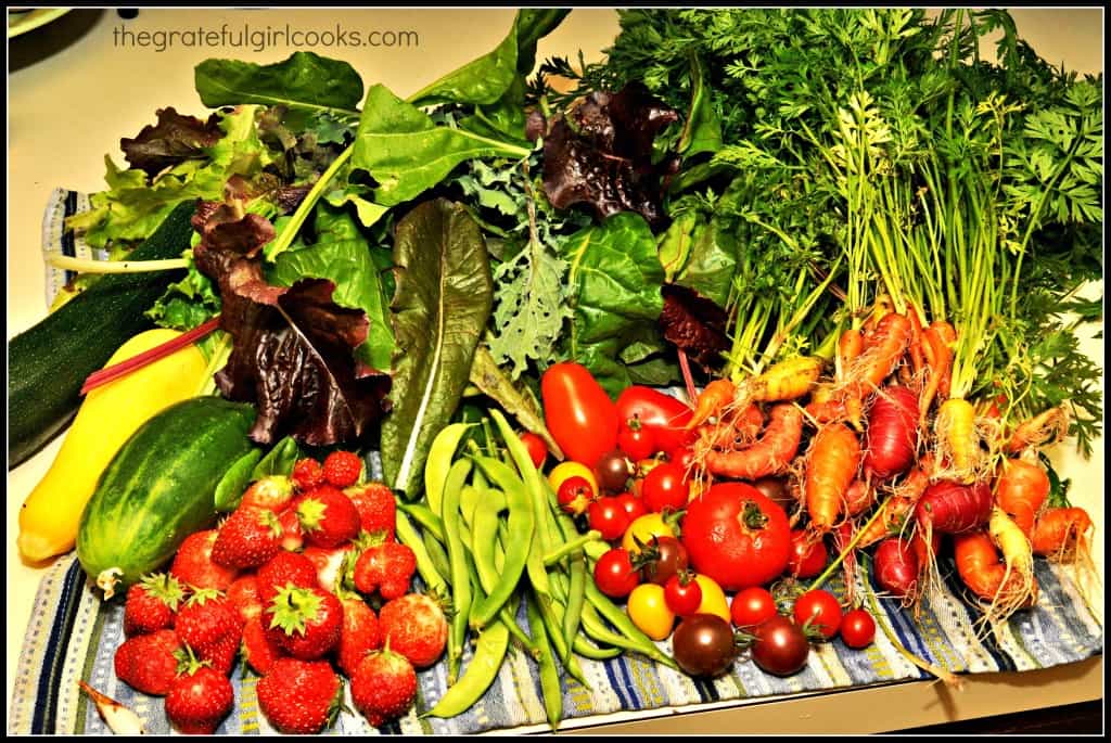 Garden Pickings August 2013