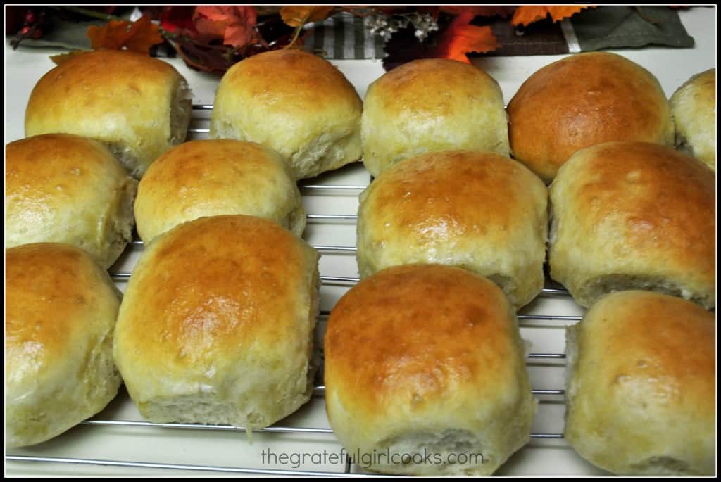 Homemade Dinner Rolls / The Grateful Girl Cooks!