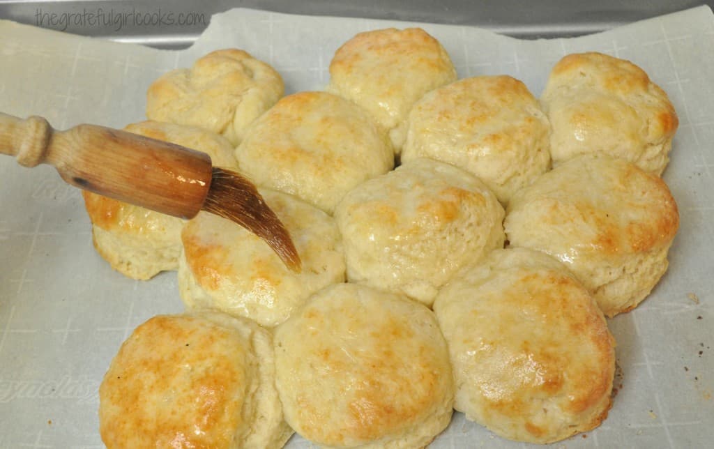 southern buttermilk biscuits the grateful girl cooks southern buttermilk biscuits the grateful girl cooks