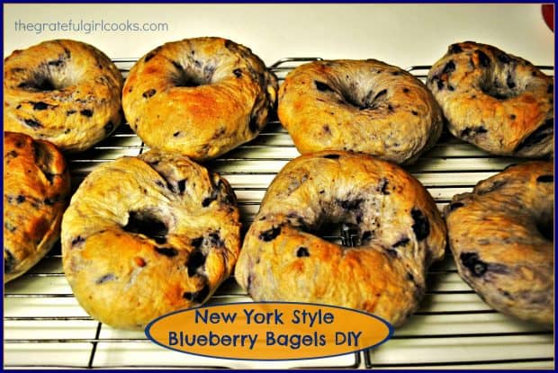 It's easy to make chewy, delicious, authentic New York Style Blueberry Bagels from scratch! Grab the cream cheese and enjoy this classic treat!