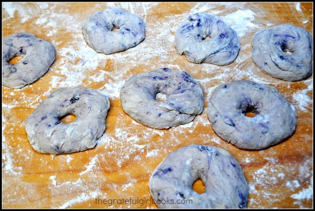Dough formed into 8 bagel shapes on floured surface