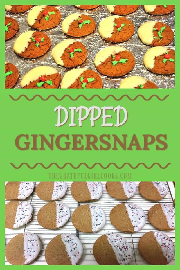 Chewy dipped gingersnaps, drizzled with (or dipped in) white and/or semi-sweet chocolate glaze are classic molasses cookies your family will love!