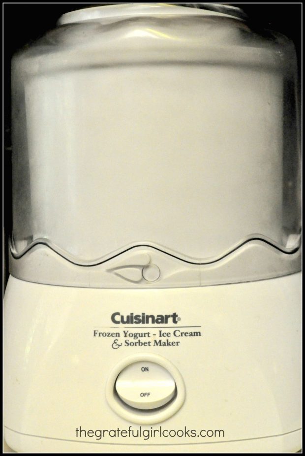 The Cuisinart ice cream maker I used to make mint chocolate chip ice cream.