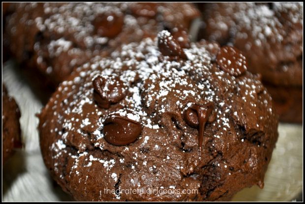 A dusting of powdered sugar and the muffins are ready to eat!