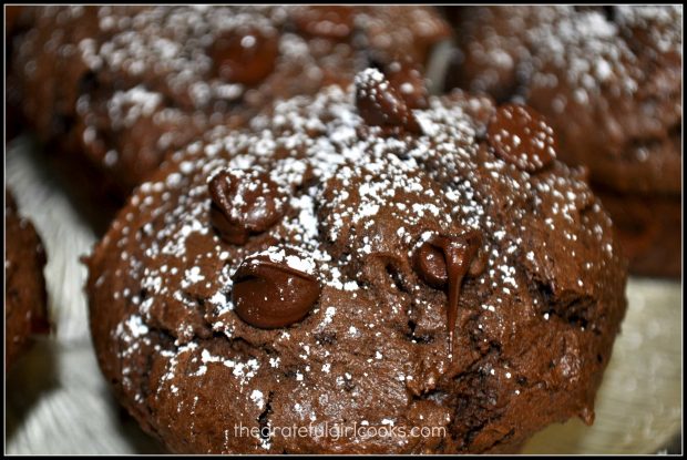 A dusting of powdered sugar and the muffins are ready to eat!