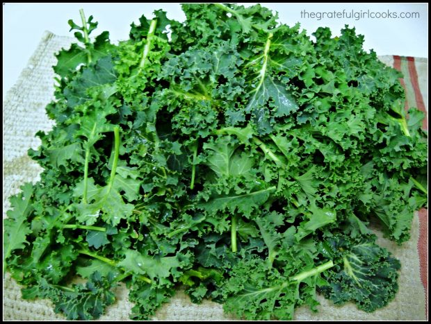 Raw kale from garden for Asian kale slaw, on dish towel drying.