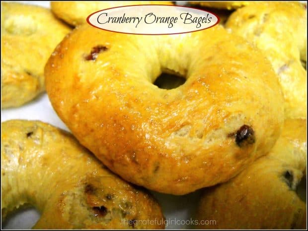 Ready for chewy, homemade New York style cranberry orange bagels, bursting with the flavor of cranberries and orange zest? Make your own bagels from scratch!