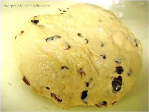 Cranberry orange bagel dough.