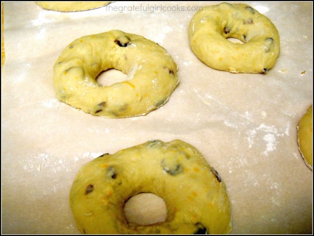 Cranberry orange bagel dough rounds, before boiling and baking.