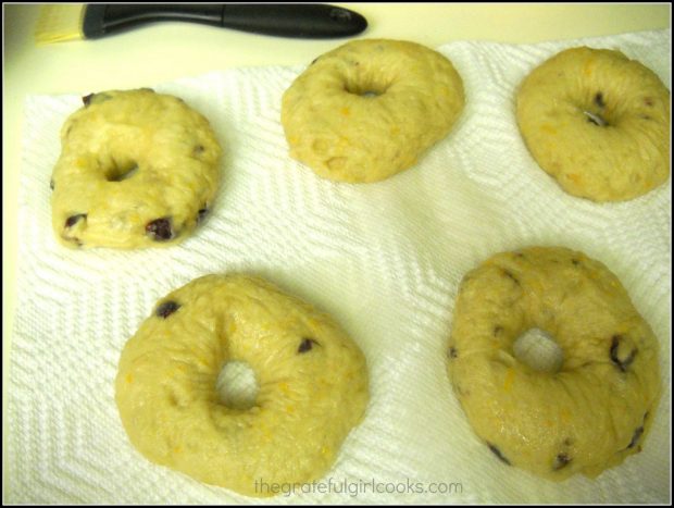 Boiled cranberry orange bagels drain after boiling, before baking.