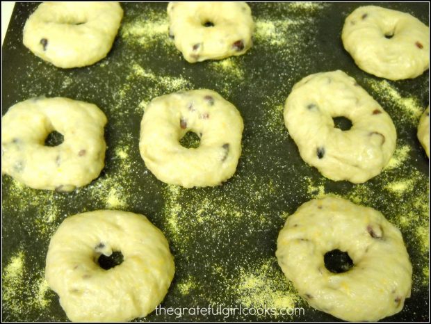 Cranberry orange bagels on cornmeal dusted baking sheet.