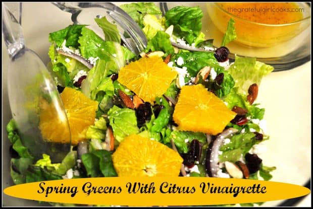 You will enjoy this light and refreshing spring greens salad, with oranges, cranberries and feta, and a citrus vinaigrette dressing!