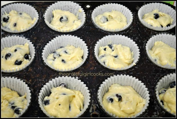 Blueberry muffin batter is divided into paper muffin tin holders.