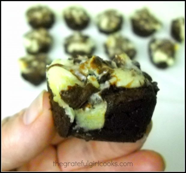 One of the chocolate chip brownie bites, with cheesecake swirl filling.