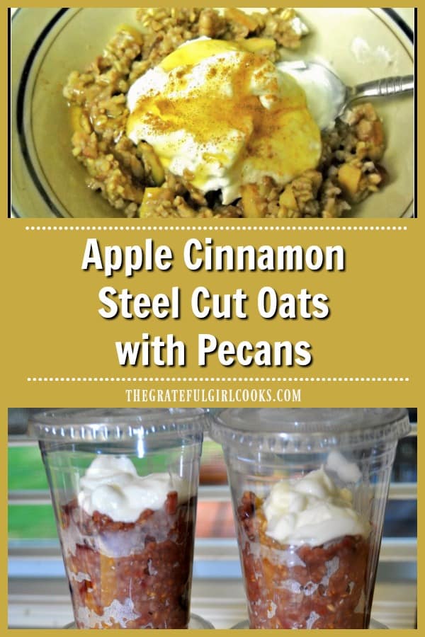 Apple cinnamon steel cut oats with cinnamon, pecans, cranberries, brown sugar, garnished w/ Greek yogurt and honey will be a favorite breakfast treat. Yum!