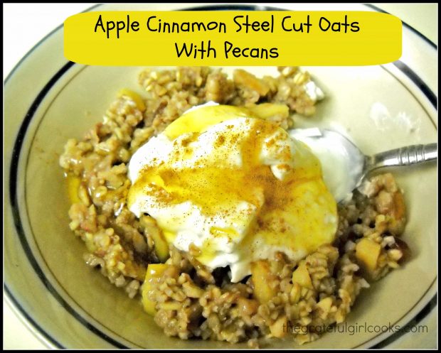 Apple cinnamon steel cut oats with cinnamon, pecans, cranberries, brown sugar, garnished w/ Greek yogurt and honey will be a favorite breakfast treat. Yum!