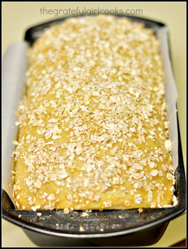 Rolled oats are sprinkled onto top of honey oat bread dough in loaf pan.