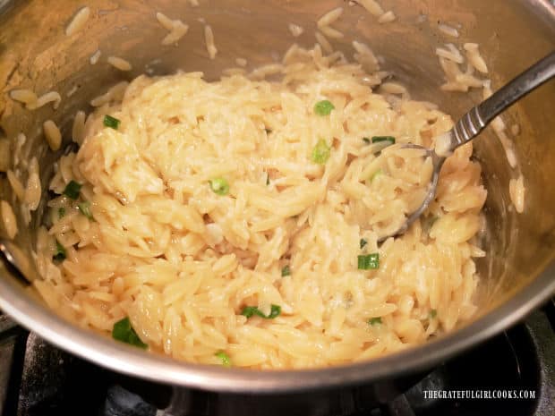 Creamy orzo pasta with Parmesan is fully cooked and ready to be served.