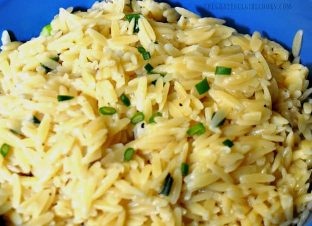 Orzo with Parmesan is served hot, with a green onion garnish.