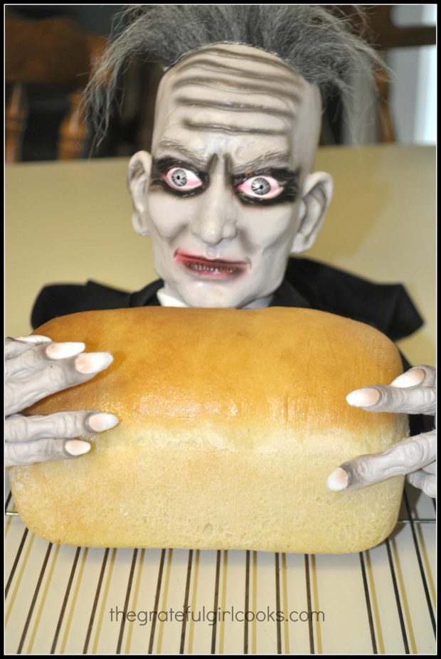 Biff, our scary family FIEND, holding a loaf of cinnamon raisin bread.