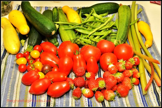 Garden harvest, including Roma tomatoes I used in this appetizer recipe