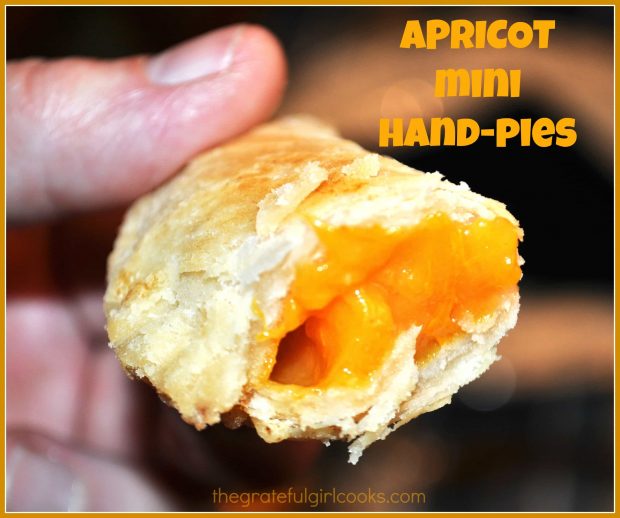 Apricot Mini Hand Pies (also known as fruit empañadas) are little hand-held miniature fruit pies, with a sweet apricot filling inside. Delicious!