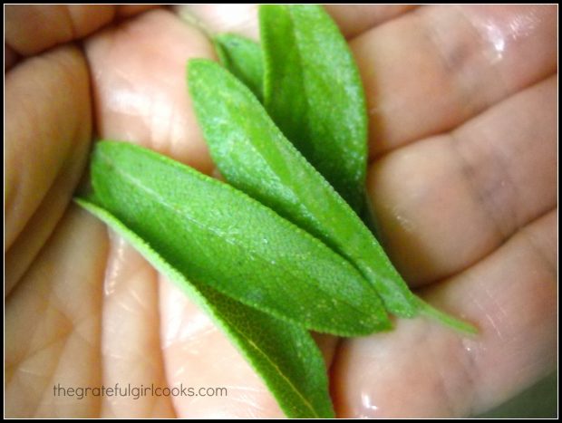 Fresh sage leaves from the garden add great flavor to the ravioli with mushrooms.