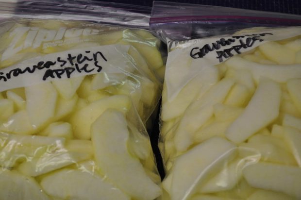 Keep Apples From Darkening and freeze them in bags.