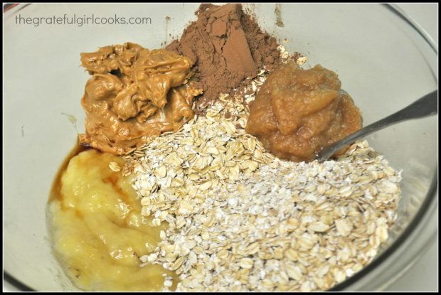Bananas, oats, cocoa, peanut butter, applesauce & vanilla are mixed together.