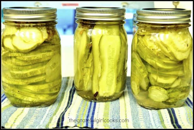 Jars of processed crunchy garlic dill pickles cooling down after processing.