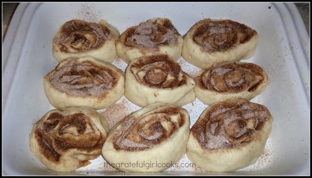 Homemade Cinnamon Rolls / The Grateful Girl Cooks!