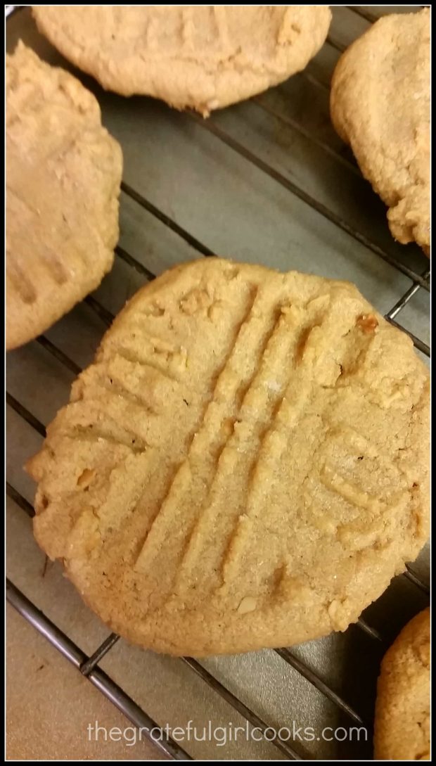 Close up of baked peanut butter cookies