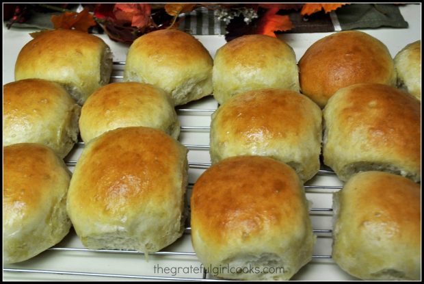 Homemade dinner rolls on wire rack, ready to eat.