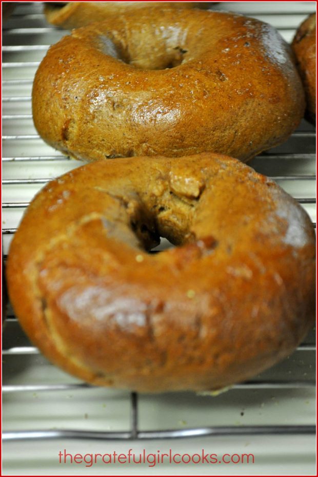 Homemade gingerbread bagels, fresh from being baked in oven!