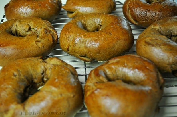 Gingerbread bagels cool on wire rack after baking.