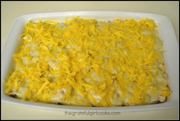 Layers of tortillas, chicken, sauce and cheese in pan, ready to bake.