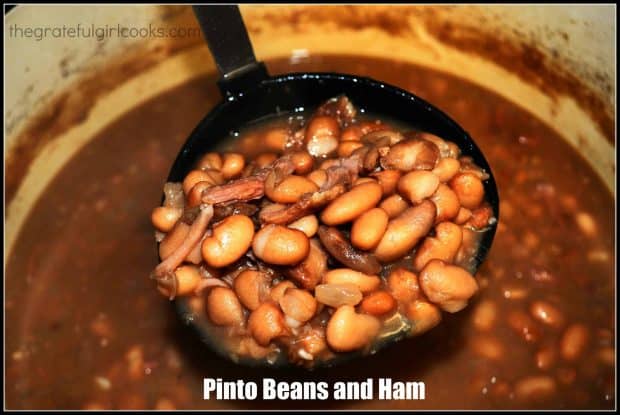 Pinto Beans and Ham is an easy, economical way to make a big pot full of tasty, filling, pinto beans and shredded leftover ham, flavored with onion and garlic!