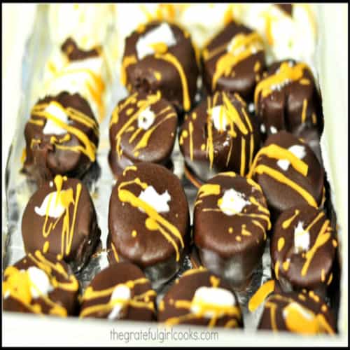 Chocolate Dipped Frozen Banana Bites