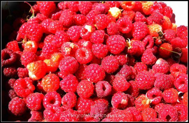 Fresh raspberries ready to make sundae sauce!