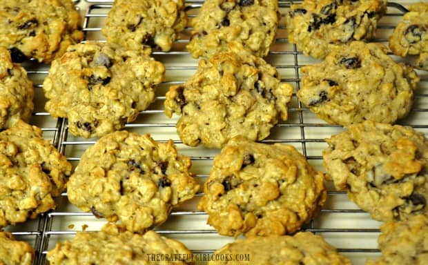 Oatmeal raisin cookies on wire rack, ready to eat!