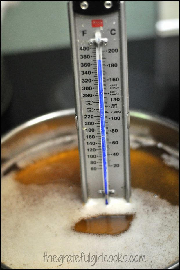 Thermometer for frying chicken in oil