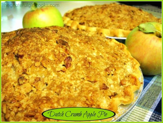 You're gonna LOVE Dutch Crumb Apple Pie! This classic apple pie, topped with buttery pecan streusel crumbs will be a hit with everyone who enjoys dessert!