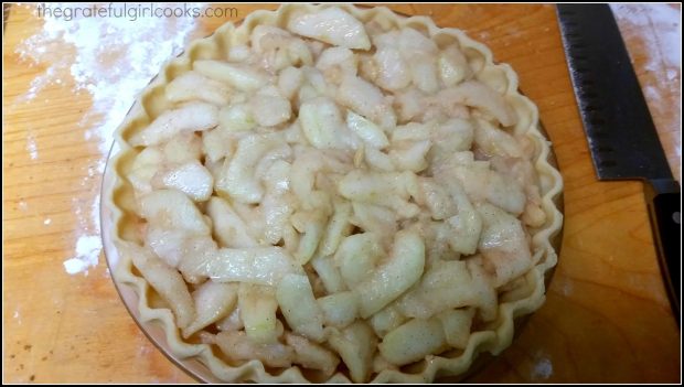 Apple pie filling is arranged on top of the pie crust in pan.