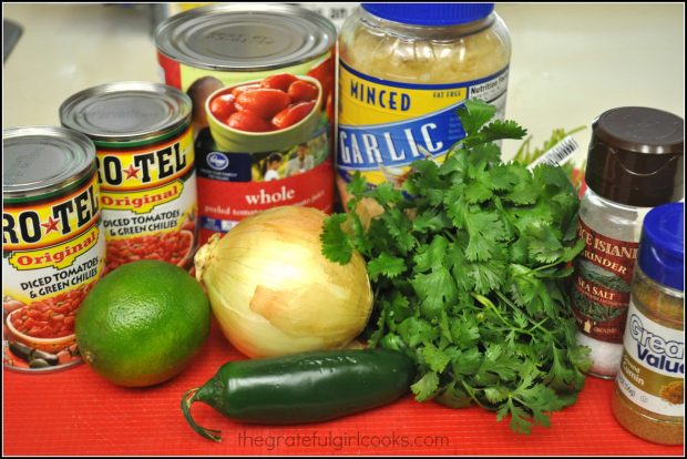 Ingredients used to make the salsa.
