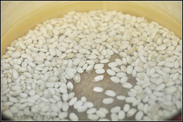 Cooking beans in water