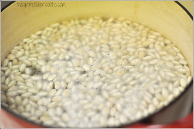Beans for soup cooking in red pan