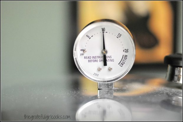 Pressure gauge, used for canning soup