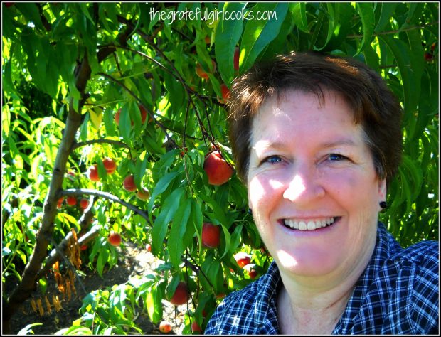 Picking fresh peaches to make a pie on a HOT summer day!