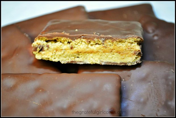 The chocolate covered graham crackers have a peanut butter filling inside!