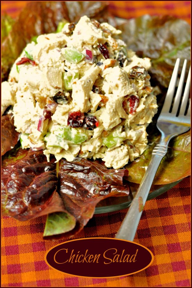 This easy to prepare, delicious chicken salad, with cranberries, celery and pecans can be eaten as is, or served in pita bread or rolls for a great sandwich.